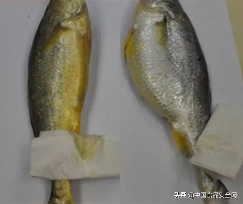 鱼贩售卖染色鱼获刑,无良商贩使用有毒染料