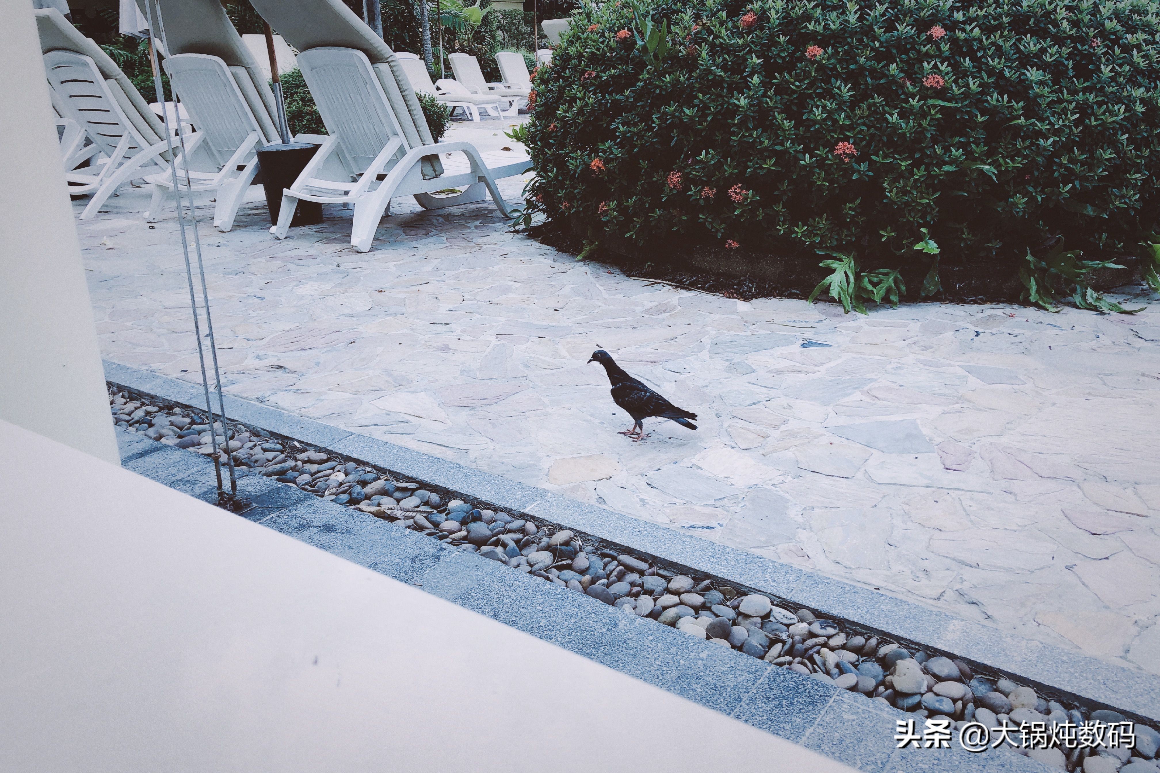 从iphone4用到iphone14,从iphone4用到现在