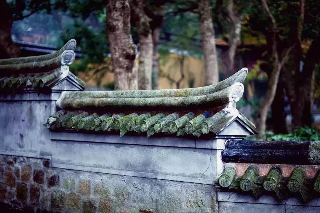 我们为什么要读古诗,为什么我们现在还要读论语