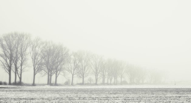 博士说护肤是智商税,药学博士的优缺点