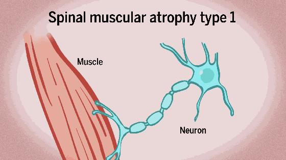 蛇最怕什么?真的不是雄黄粉,研究人员说明了原因
