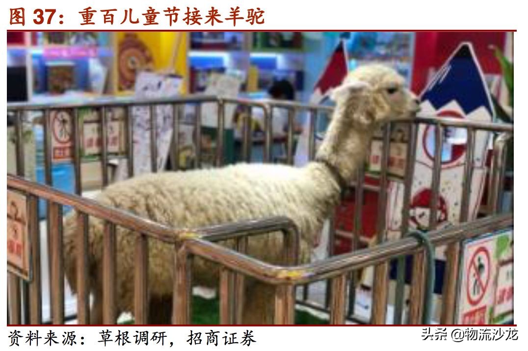 起底货运行业,起底电商直播发展