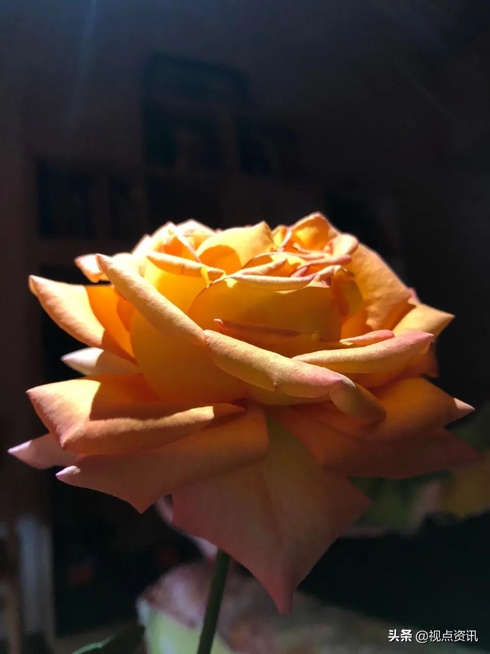 彩色的梦美术画,彩色的梦书法作品