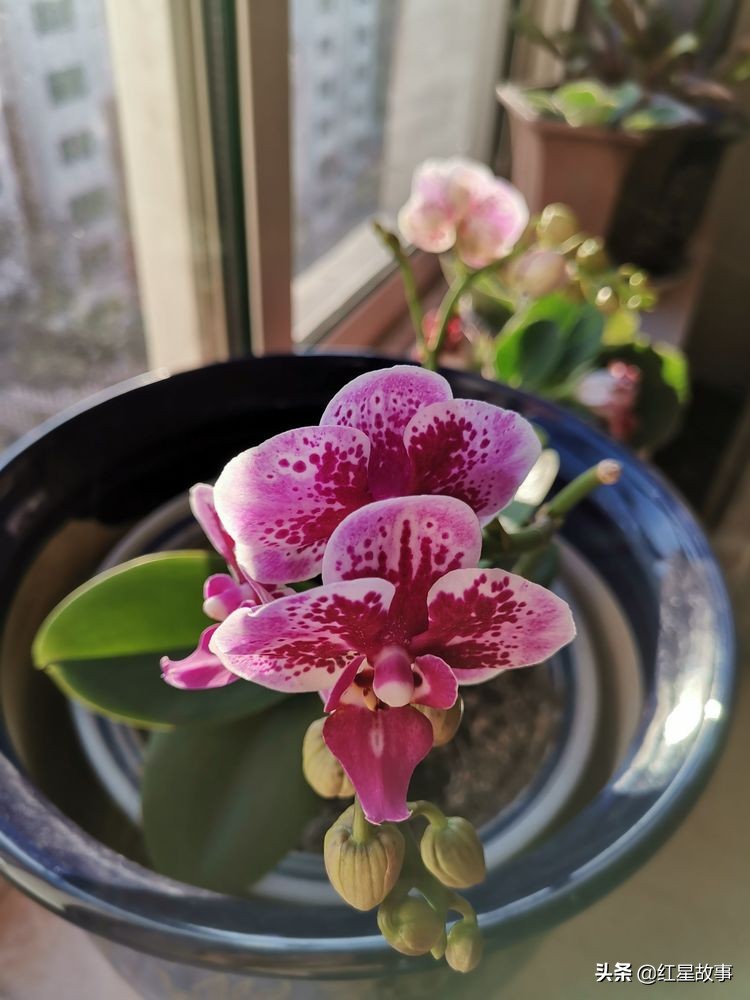 追忆我的父亲母亲,怀念我的父亲和母亲