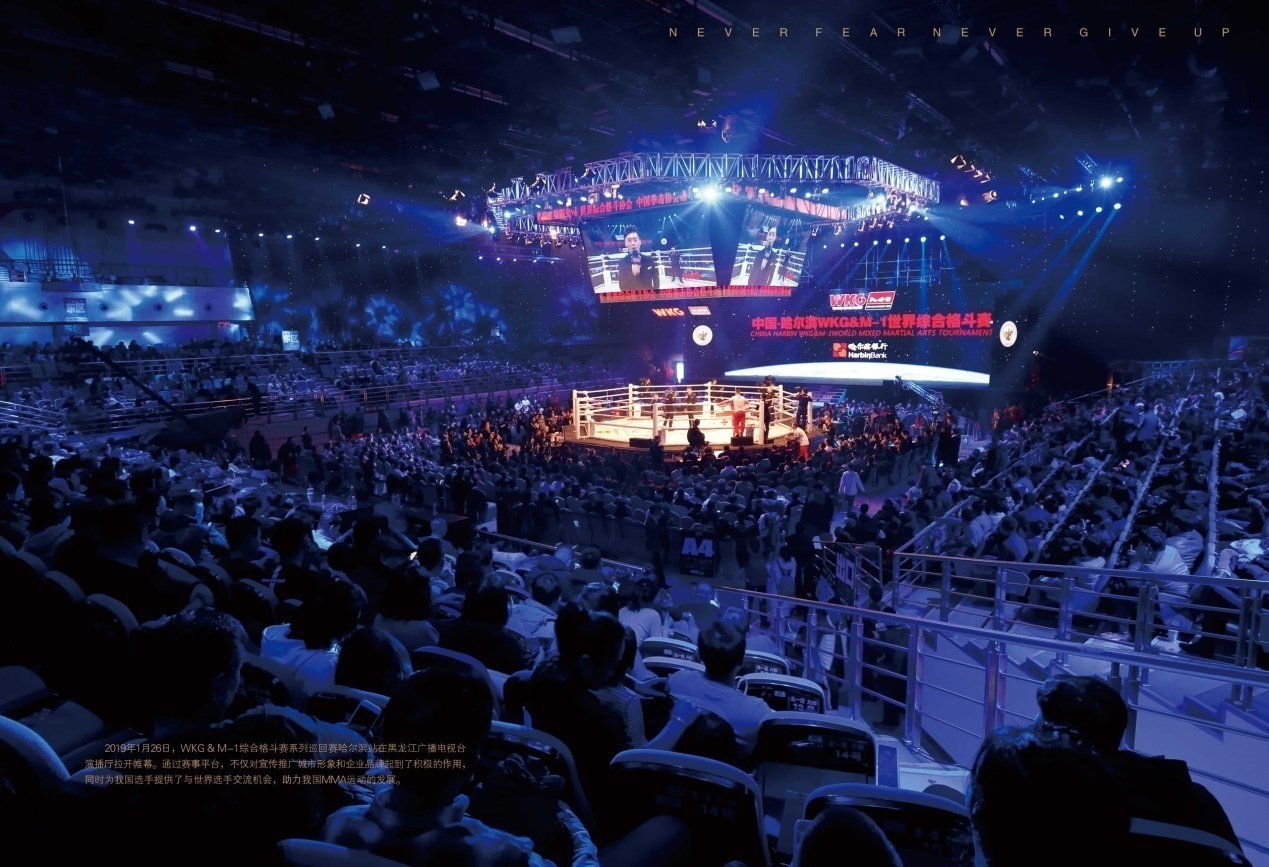 巴西帮球队阵容,巴西mma顶尖战队