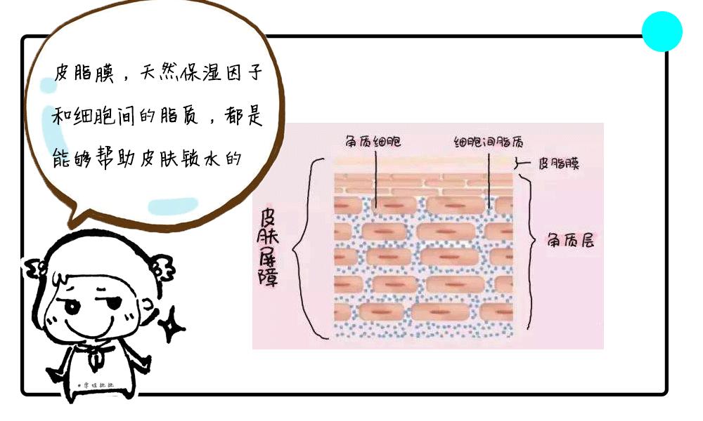 易出油皮肤怎么改善,混干皮t区出油怎么化妆