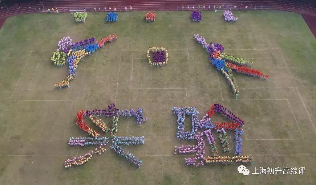 上海实验高中高考,上海实验学校2023高考战绩