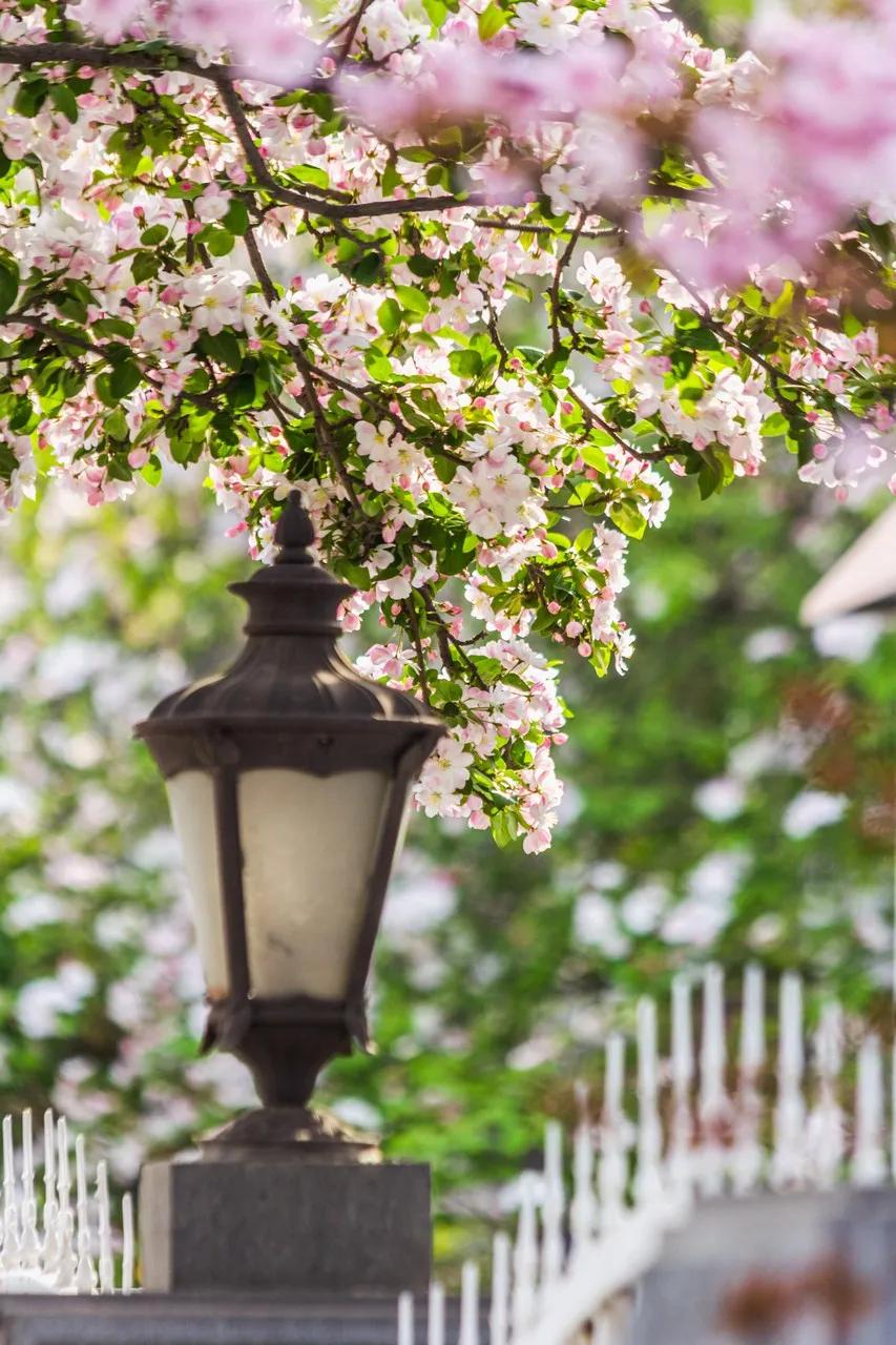 天津——梦回欧陆，做一回时光的盗梦者