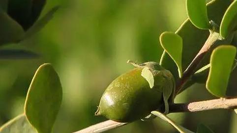 敏感肌换季好物,敏感肌水乳抗皱天花板
