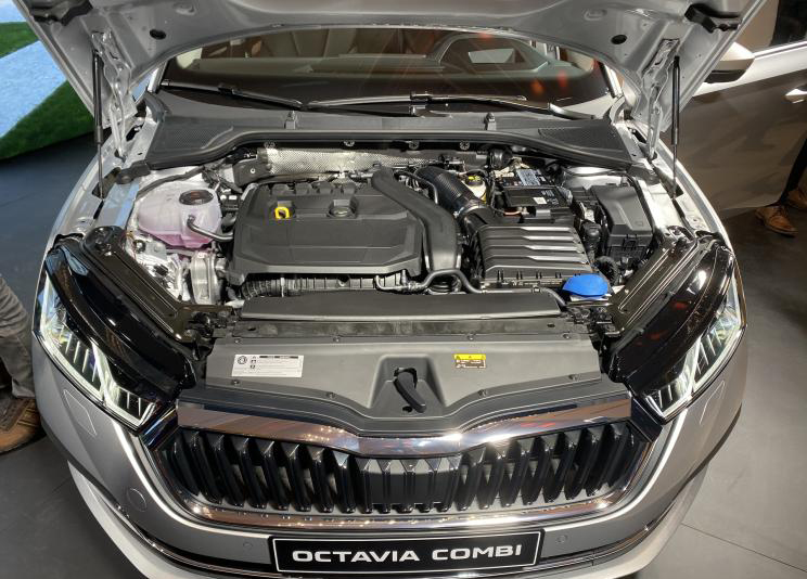 斯柯达明锐金色2019尾标带字母,斯柯达全新明锐19款