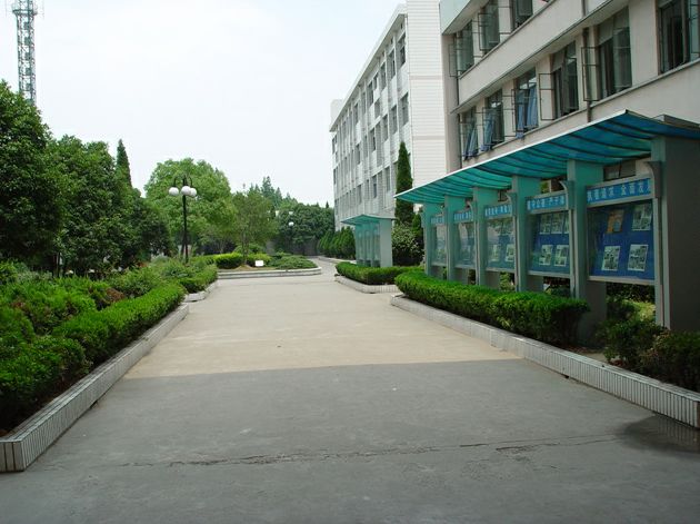 余杭新规划的学校,美翻了的校园