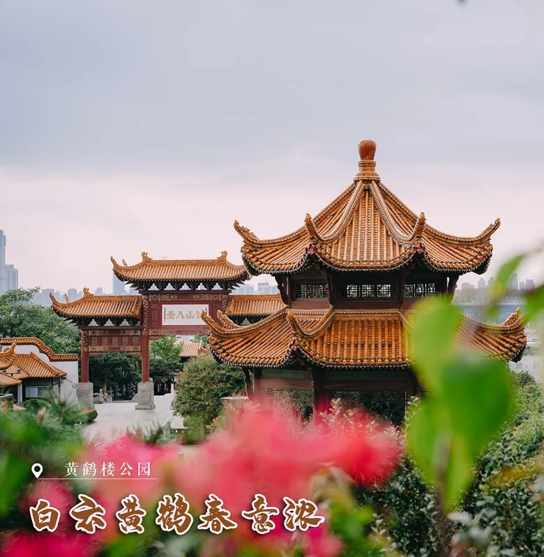 黄鹤楼细支神秘花园,黄鹤楼神秘花园