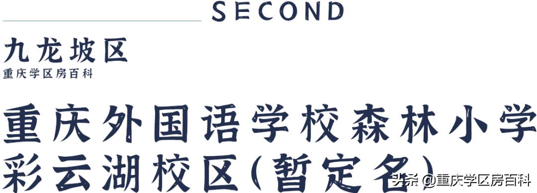 九龙坡区示范小学名单,九龙坡区新规划的小学