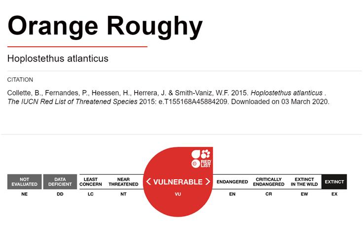 长寿鱼为什么建议避免食用,好健康的长寿鱼