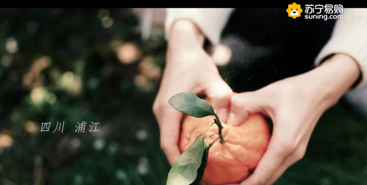 2020年苏宁易购年货节,苏宁年货节火热中