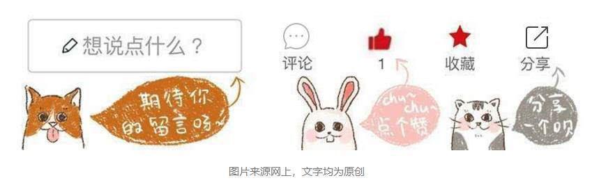 狗能吃含有牛磺酸的食物,狗吃猫粮会有什么后果