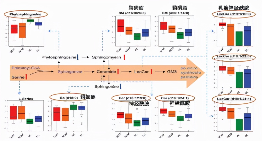 cap病原学特点,cap病原学