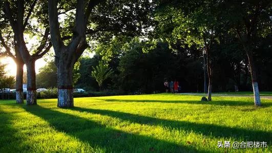 最新北城新区消息,北城目前发展趋势是什么