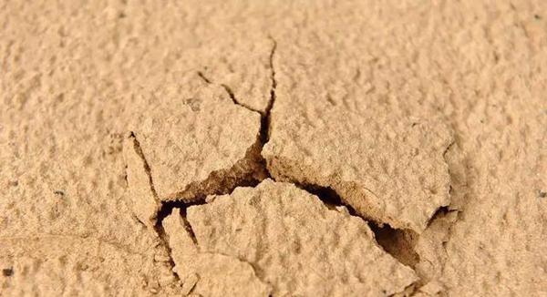 芦笋黑色和紫色哪个好吃,紫色芦笋和青色芦笋有区别