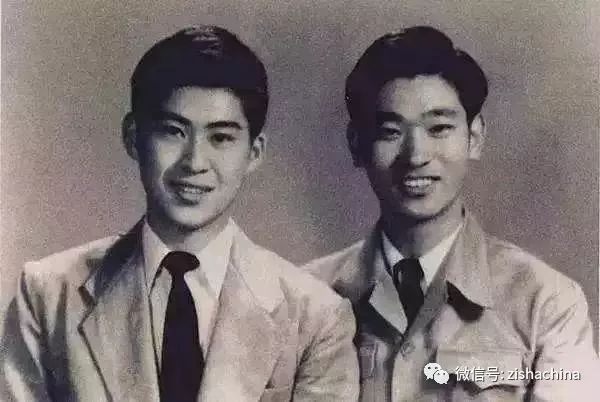 白先勇树犹如此配音,白先勇树犹如此表达什么