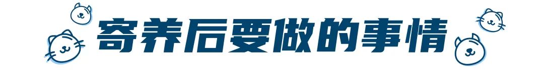 假期要把宠物送去寄养,以下5件事一定要做