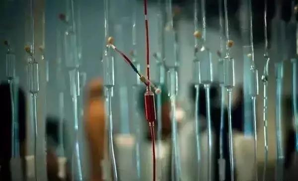 鏂囨槑灏卞尰灏婇噸鍖荤敓,閬靛畧瑙勫垯浜嗚В瑙勫垯