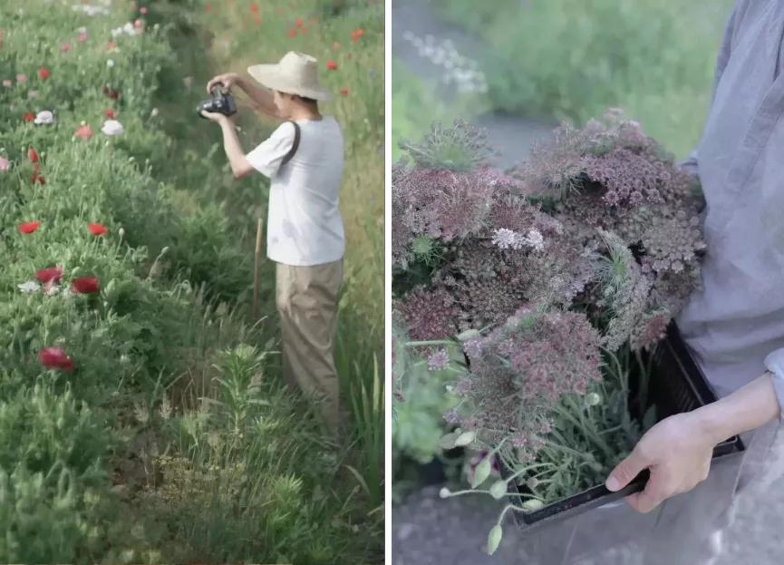 最会说情话的人全集,最会说情话的人