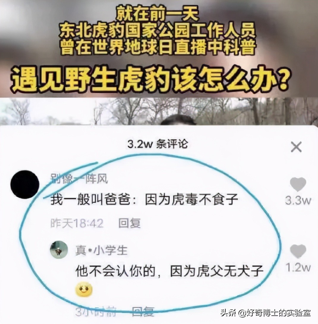 手机进水放进米缸里真的管用吗,手机进水放进米缸有用吗