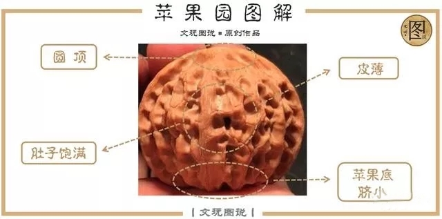 文玩核桃官帽和狮子头区别,文玩核桃官帽与狮子头区别