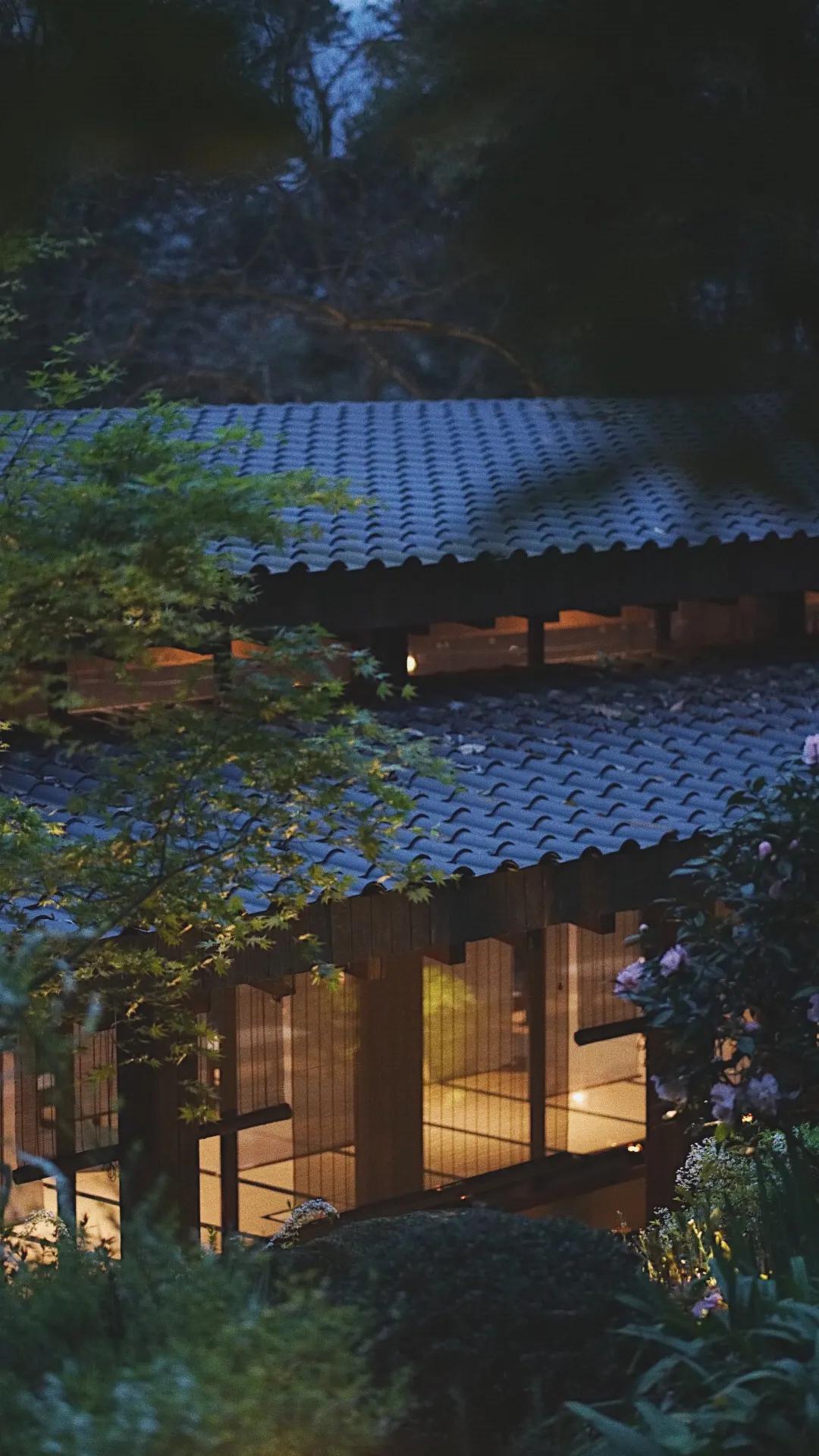 森林秘境的温泉,森林里野奢温泉度假酒店下午茶