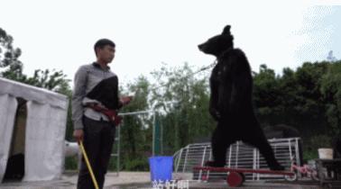 富二代儿童脊椎包,富人用小孩的脊椎做手提包