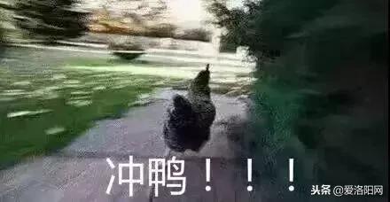 双十一账单图,双十一账单查询2020