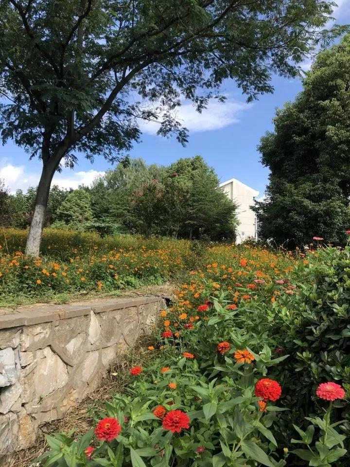 南京财经大学红山学院长什么样,南京财经大学红山学院院系数量