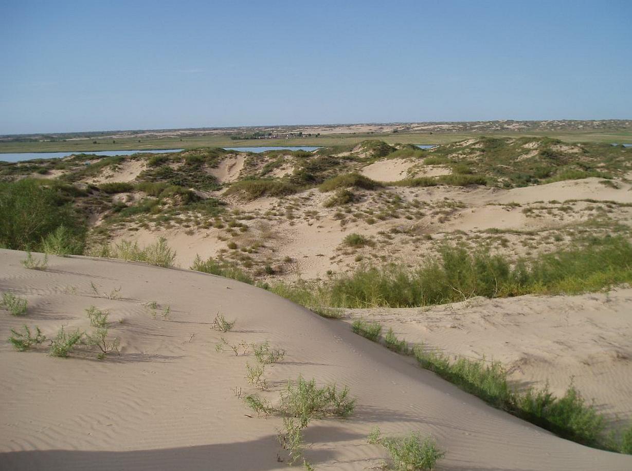 葛根在哪些国家泛滥成灾,在美国泛滥成灾的葛根