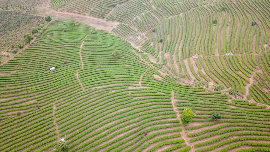 告庄西双景游玩多长时间,告庄西双景值得去吗