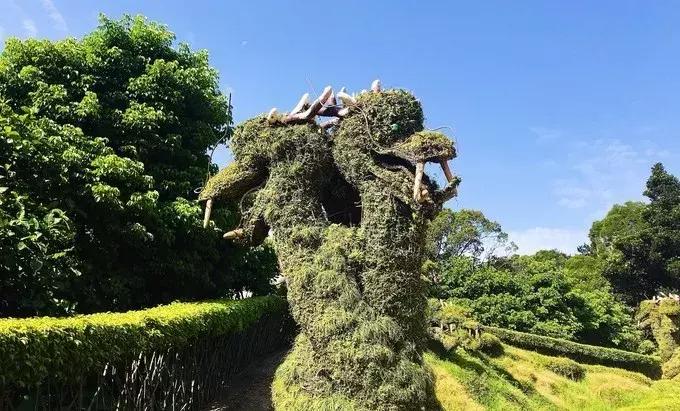 恋恋冲绳丨有一种海水的蓝，叫做“果冻蓝”