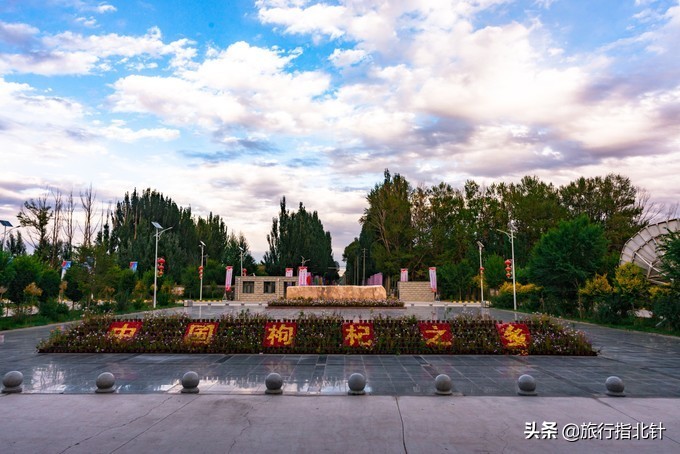 美丽青海，秋收的季节都兰红了，爆汁鲜甜的枸杞有小拇指大小