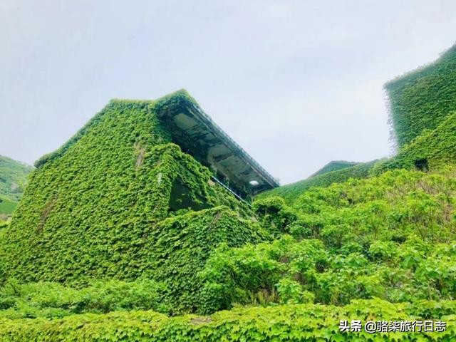 误入绿野仙踪秘境,探索舟山无人村