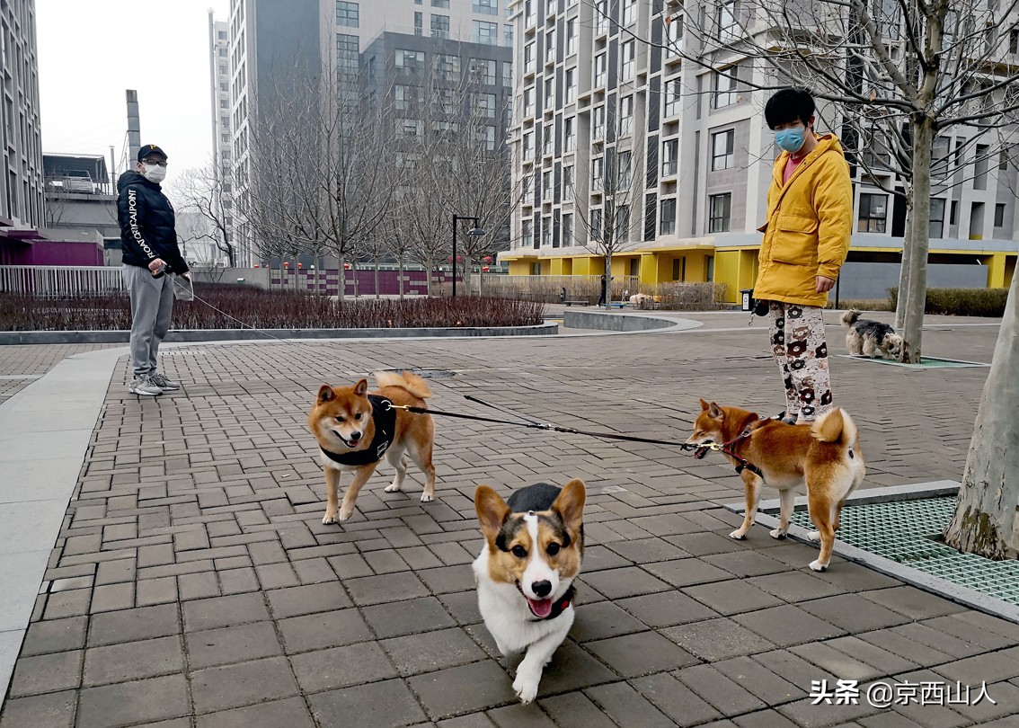 疫情下的你我他,疫情下的你原唱