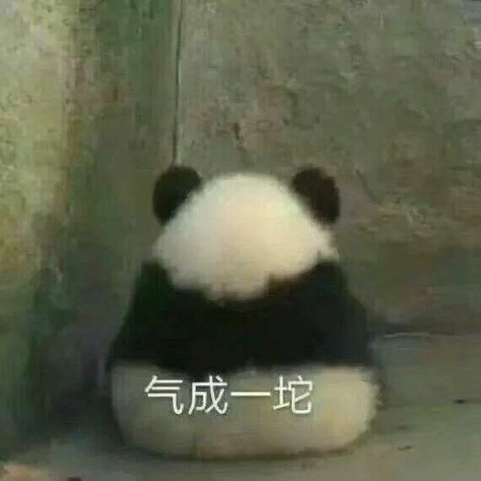 比乐狗粮为什么有点湿,比乐狗粮怎么样有吃的吗