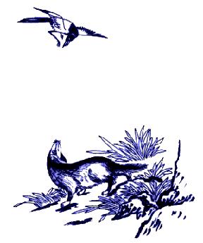 中国传统民间装饰图案及寓意,中国民间传统图案