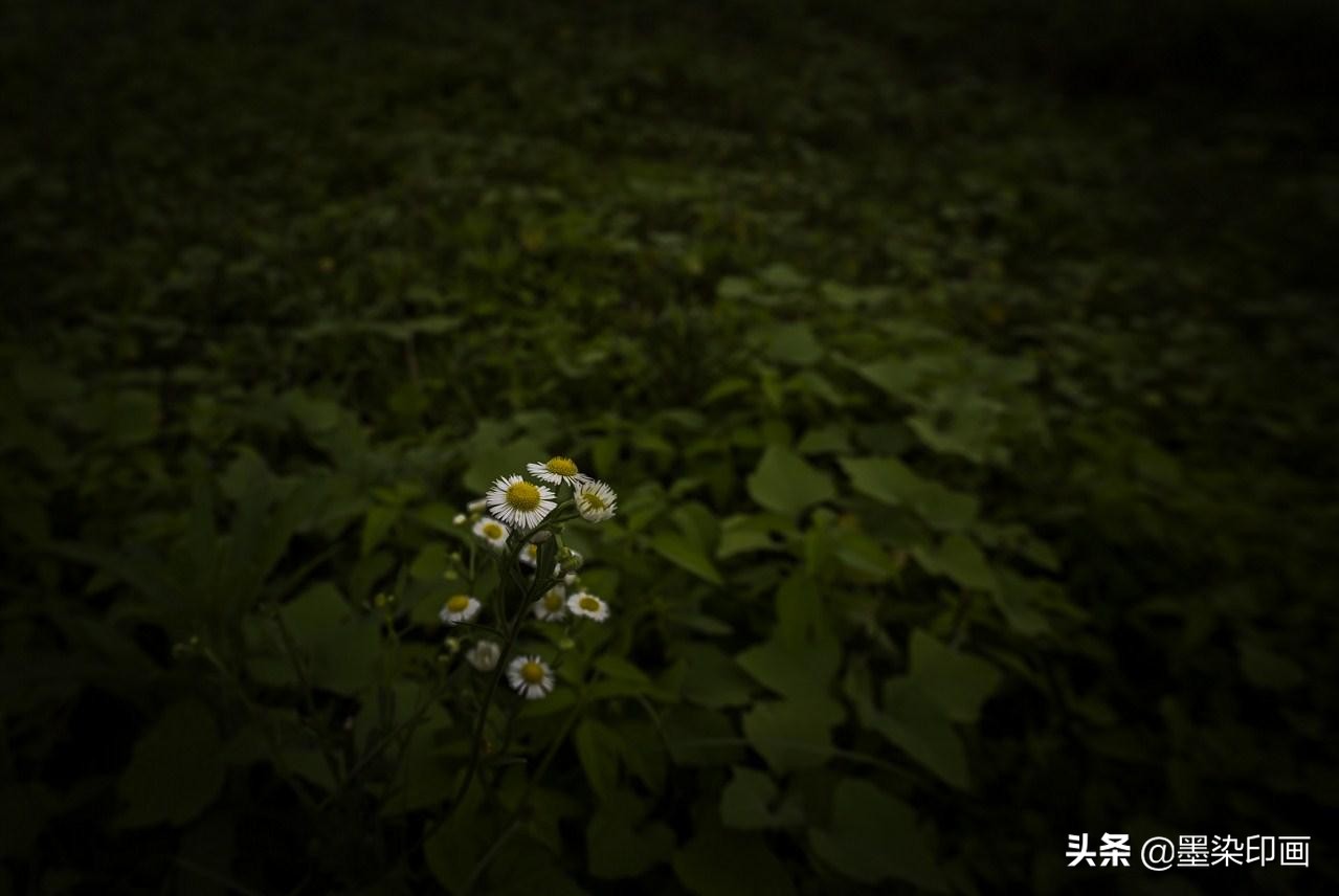 弱光怎么对焦,弱光环境下的对焦技巧