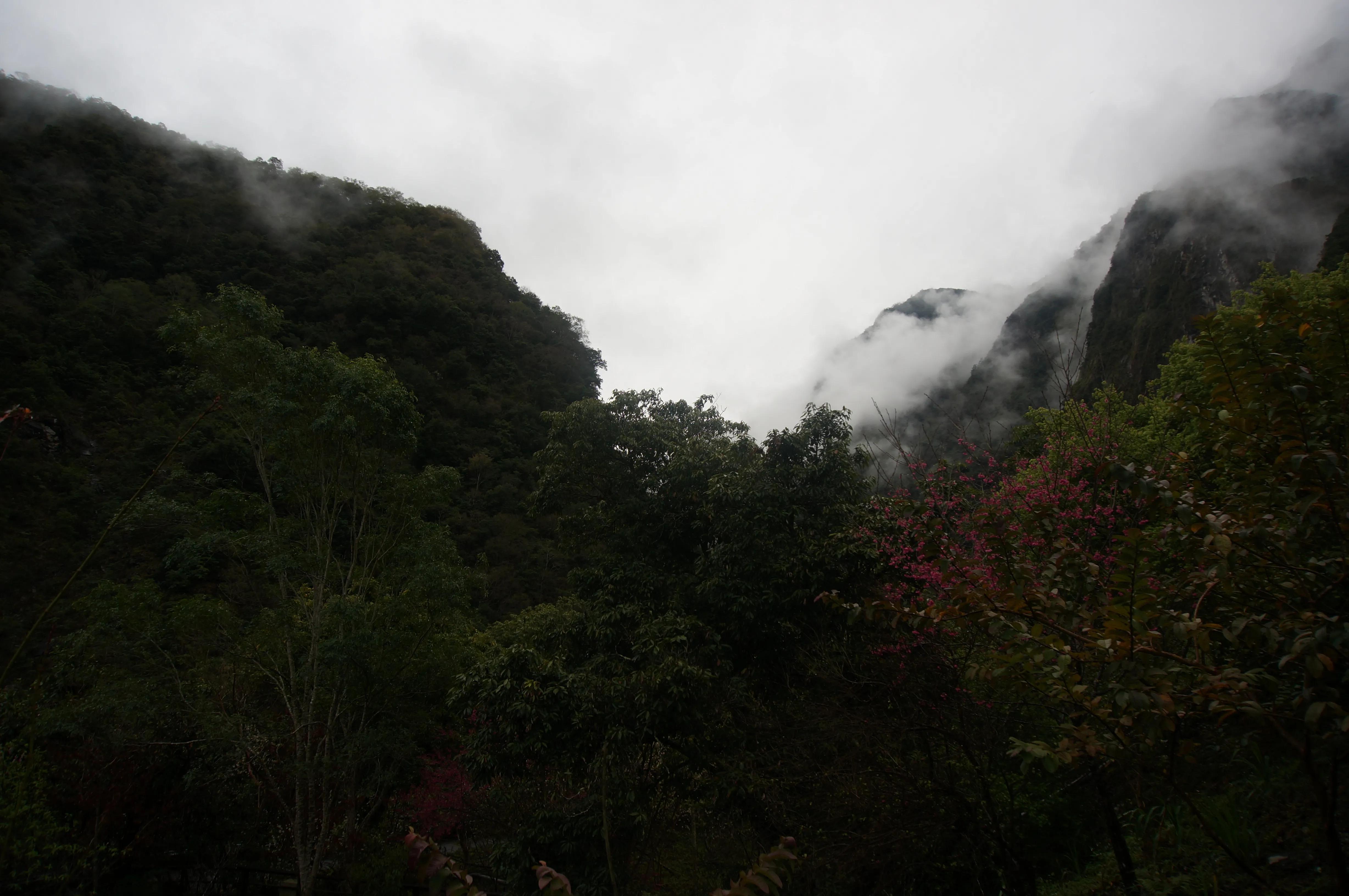 台湾太鲁阁公园,台湾太鲁阁峡谷风景区攻略