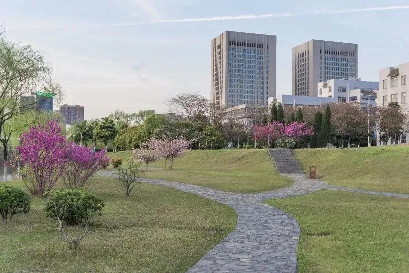 安徽省高校合肥理工,安徽省二类本科公办大学