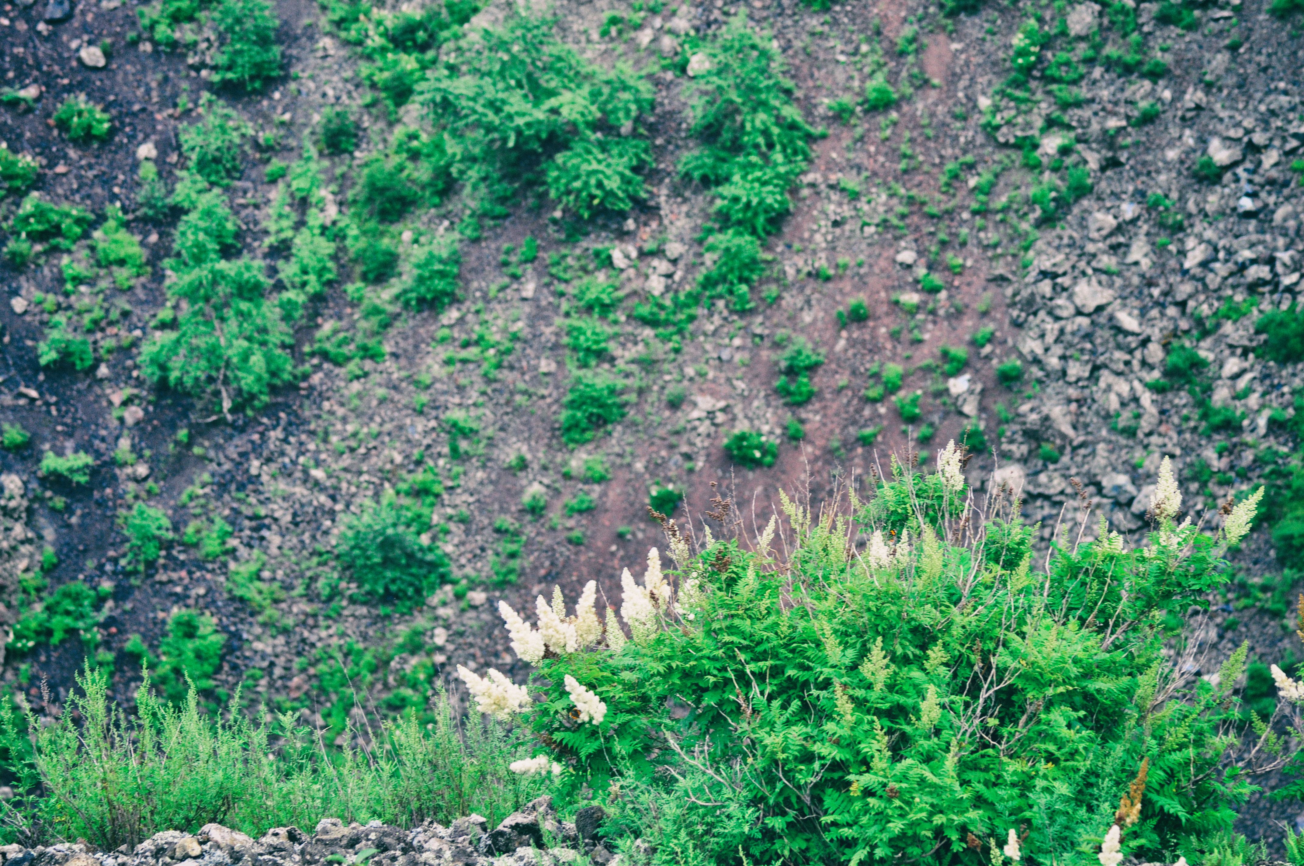 东北游记攻略,东北游记最新视频
