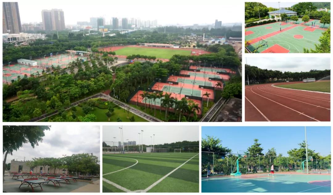 桂城全民健身公园,佛山体育公园最新规划
