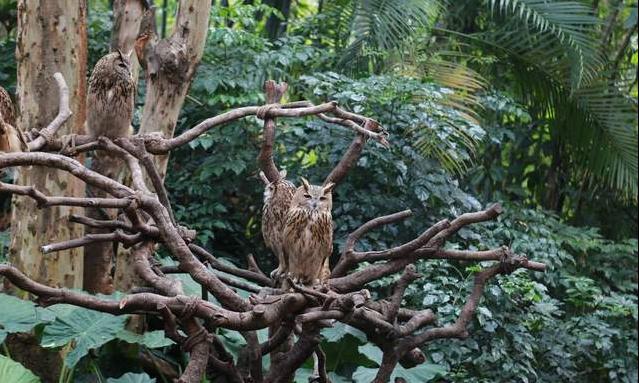 广州长隆四天三晚旅游推荐,4天去广州长隆和珠海看海怎么玩