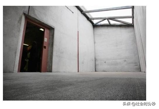 章莹颖案凶手细节,章莹颖案凶手杀了多少人