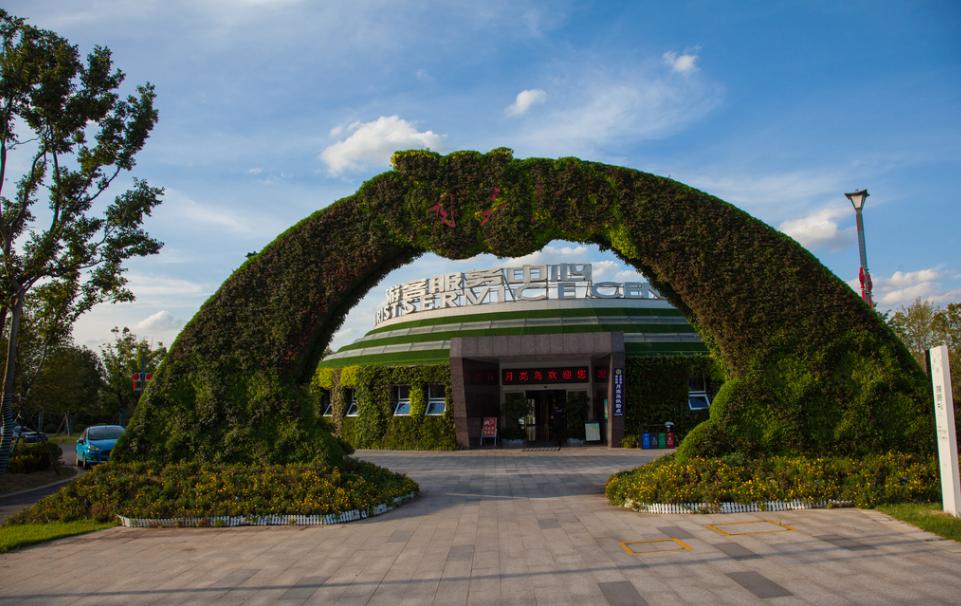 湖南长沙月亮岛公园,长沙月亮岛花海公园