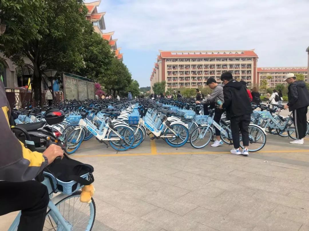 钦州有哪些县城美食,钦州哪些小学有美食